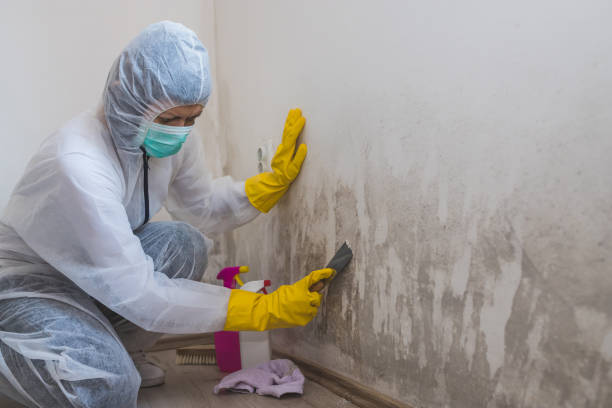 Best Preventive Mold Services in Silver Springs, NV