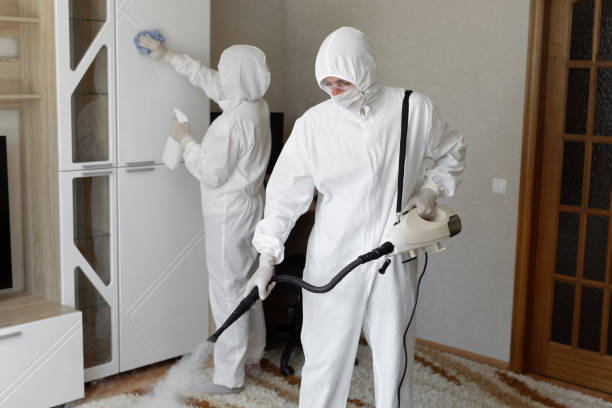 Best DIY Mold Remediation Support Services in Silver Springs, NV